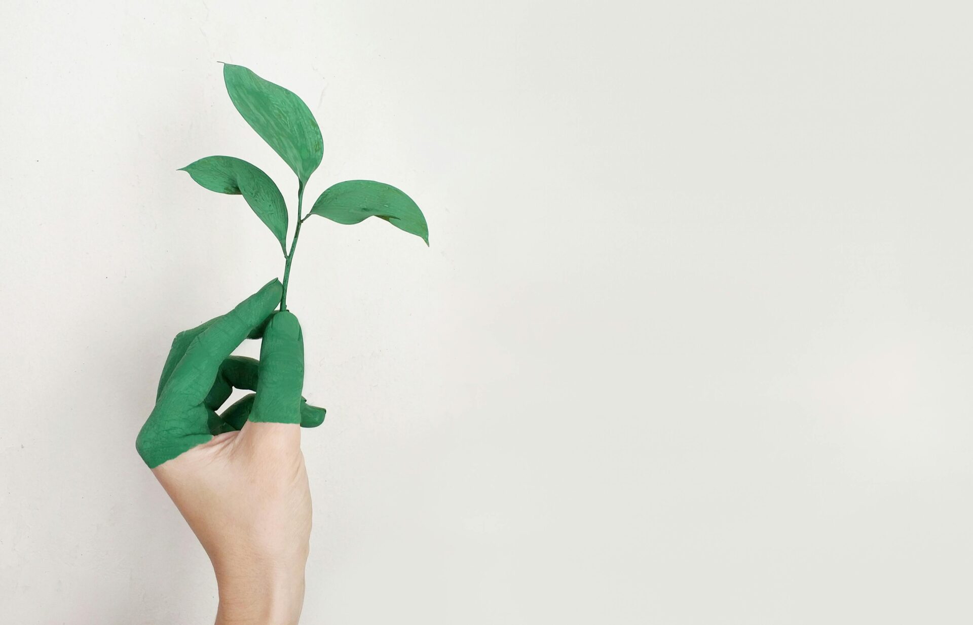 Introduction to circular economy (for business organizations)