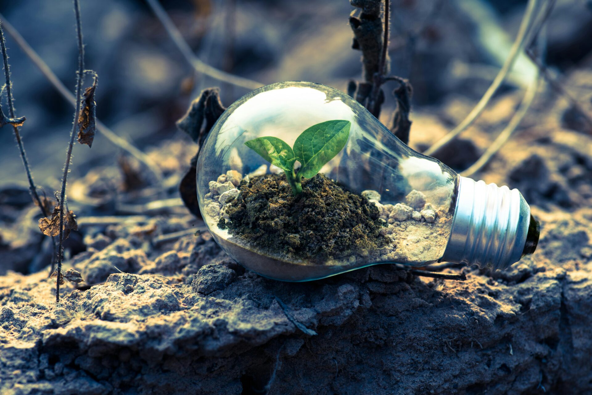 Introduction to circular economy  (for BSc students)